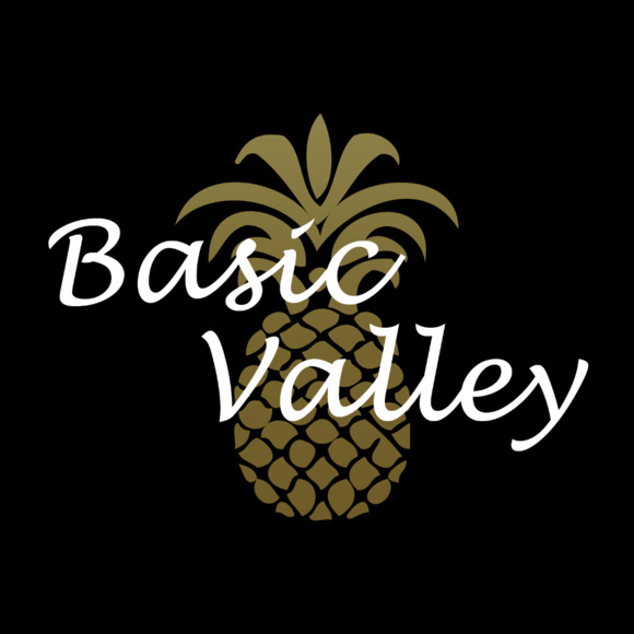 basicvalley